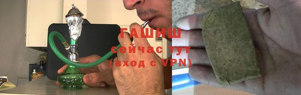 шишки Абаза