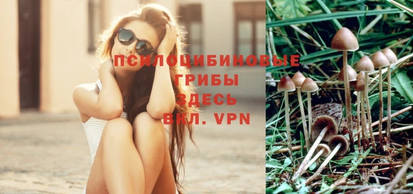a pvp Алзамай