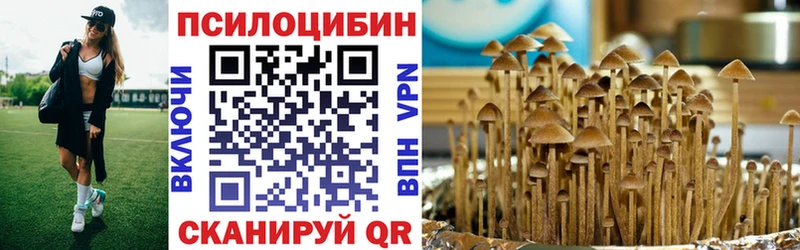 Псилоцибиновые грибы MAGIC MUSHROOMS  где продают наркотики  Морозовск 